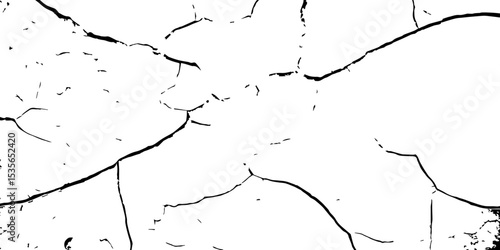 "Cracked texture background in high contrast black and white, depicting natural fracture lines. Ideal for design overlays, distress effects, grunge art, and digital backgrounds"