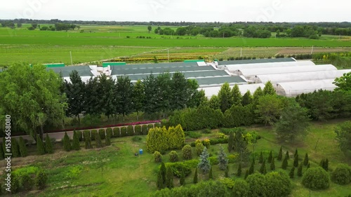 Tree sapling. Plant nursery. Cultivation of different types of trees. The view from the drone.
