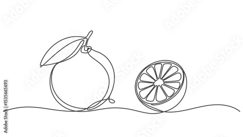 Continuous Line Drawing of Orange Fruit