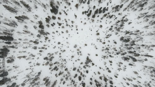 Aerial drone shot of the snow-covered forests of Lapland, Finland, in deep winter, capturing frozen trees, white landscapes, and the untouched beauty of the arctic wilderness