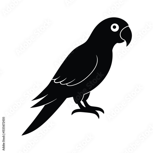 Parrot Preening Vector Silhouette