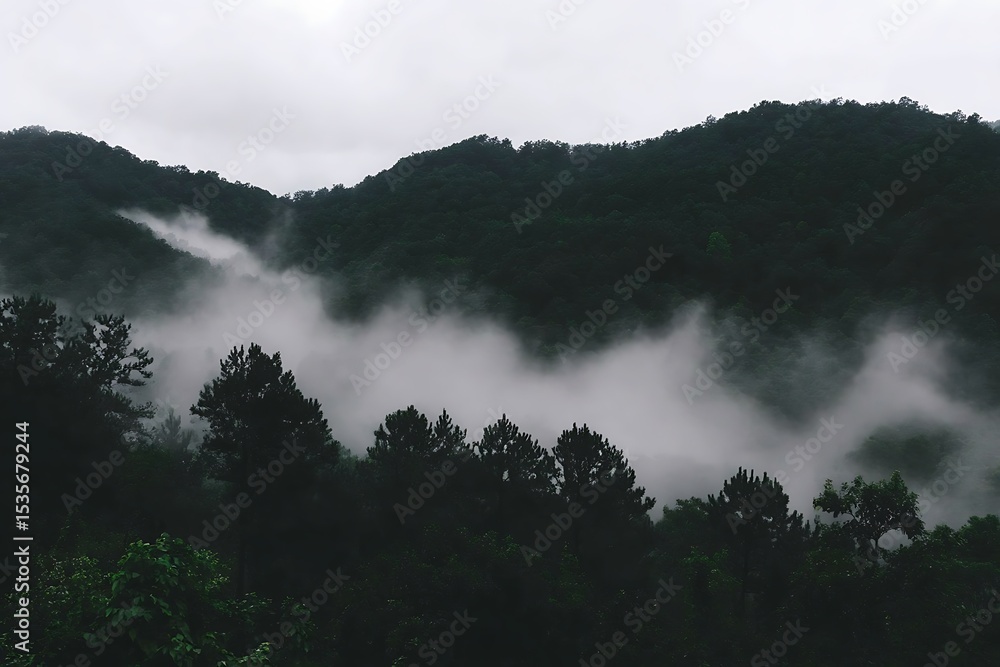Fototapeta premium Ethereal forest landscape shrouded in mist