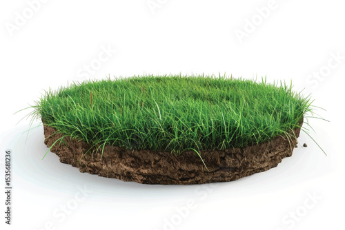 3D rendering Green grass circle field isolated on white background.