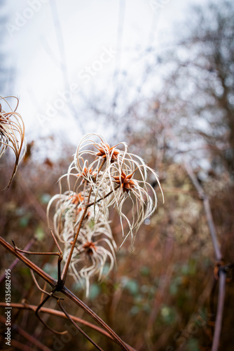 Herbst