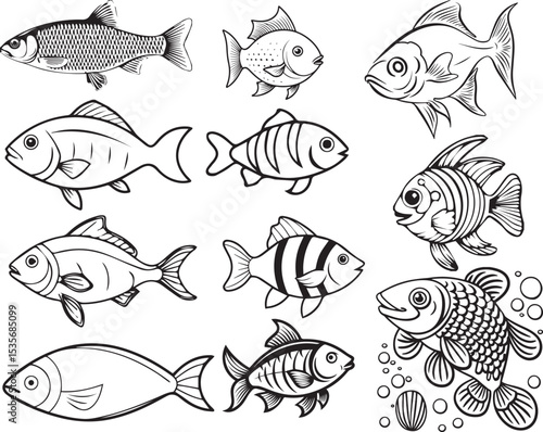 set of fish vector