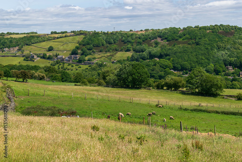 landscape of Halifax