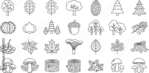 Forest Vector Icon Set Adjustable Line Weight Tree, Leaf, Acorn, Pinecone, Mushroom, Berry, Branch, Oak, Nature, Woodland, Timber, Stump, Ecology Icons