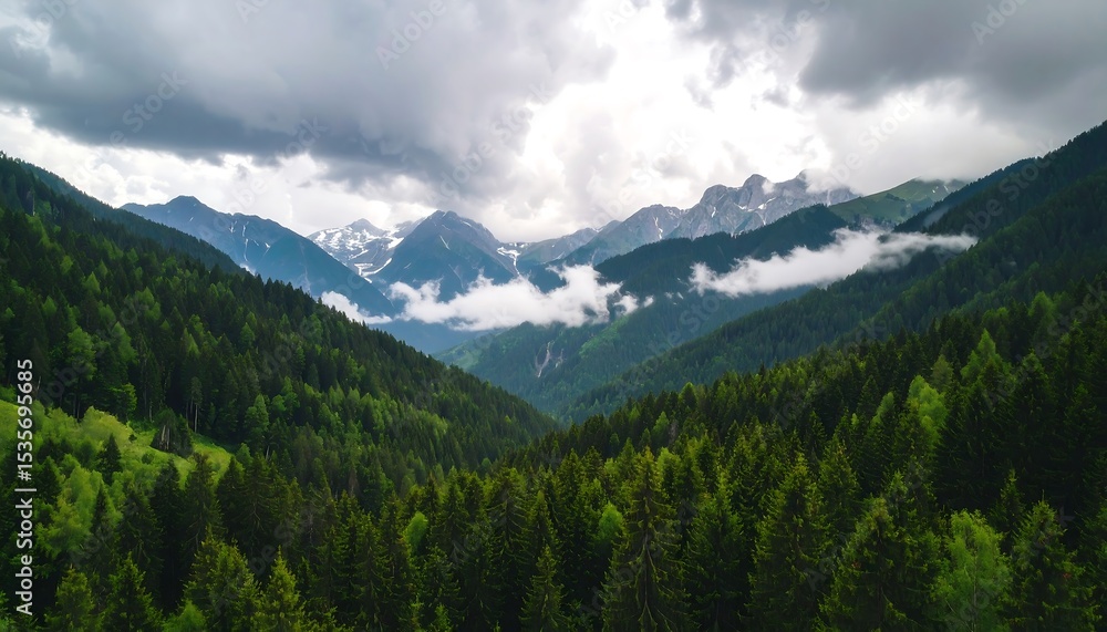 Fototapeta premium Mountainous Landscape Covered With Forest Under the Overcast Sky