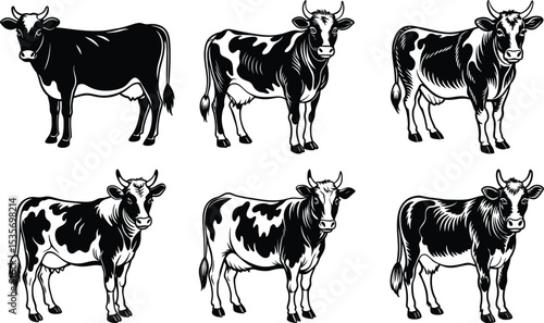 Six Black and White Cows Farm Animals Dairy Cattle