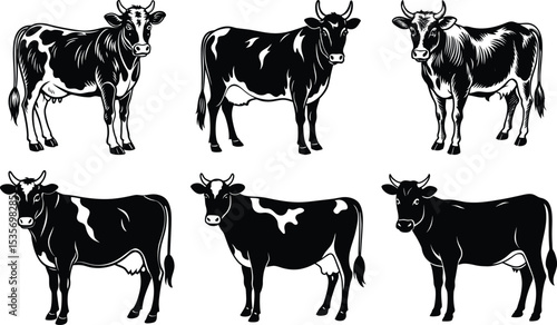 Six Black and White Cows Farm Animals Livestock
