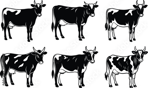 Six Black and White Cows Farm Animals Livestock