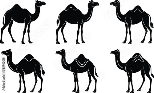 Six Black Silhouettes of Camels Desert Animals