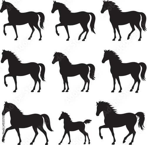 Horse Silhouette Vector Set – 8 Black and White Icons of Different Breeds and Poses
