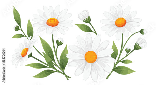 A Bunch of Beautiful White Daisies with Vibrant Yellow Centers and Green Leaves