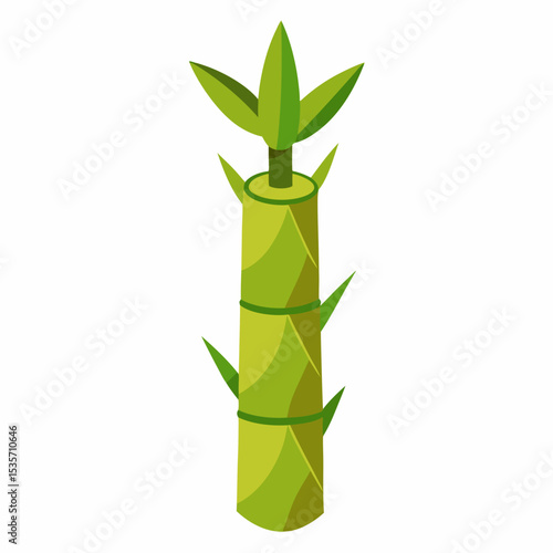 young bamboo isolated on white background