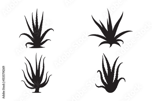 Aloe Vera Plant Silhouette Set Isolated Botanical Vector Illustration