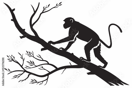 Photography monkey sihouette black vector