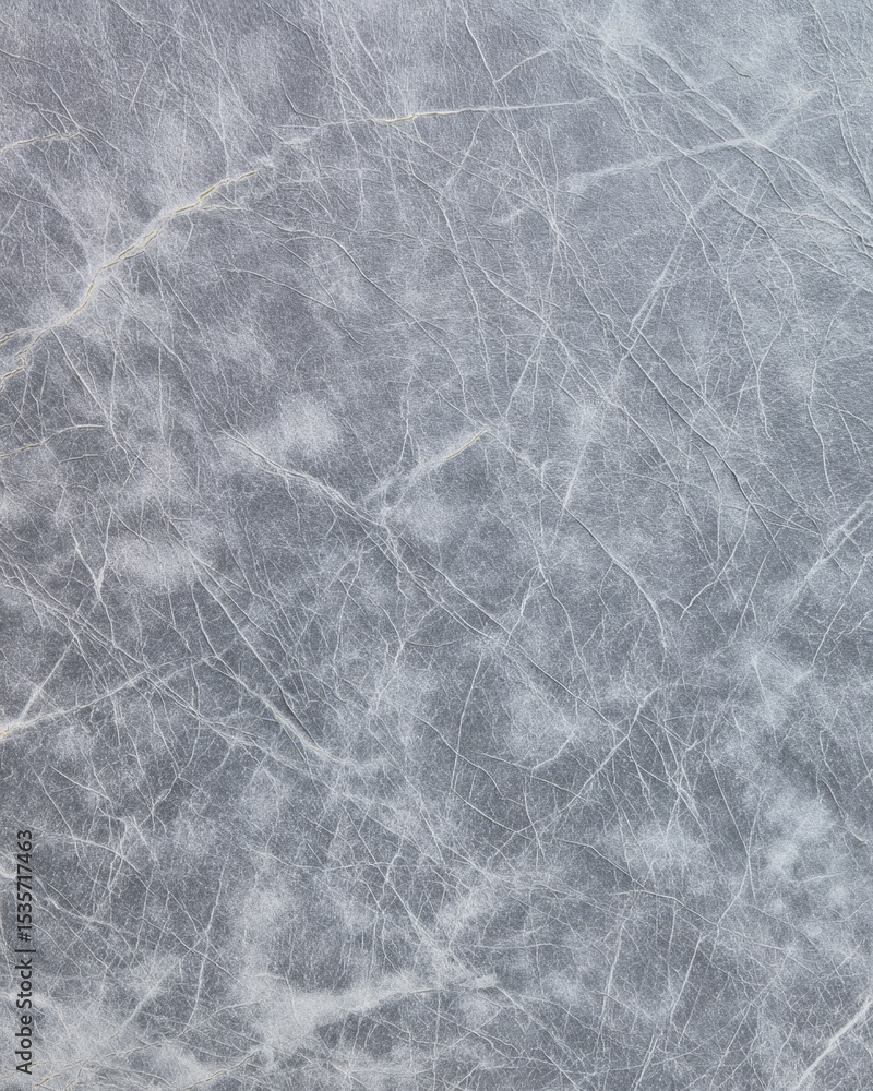 Fototapeta premium Leathered soapstone with bright white vein network and frosty surface texture in gray tones