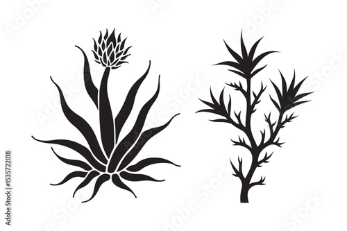 Aloe Vera Desert Plant Silhouettes