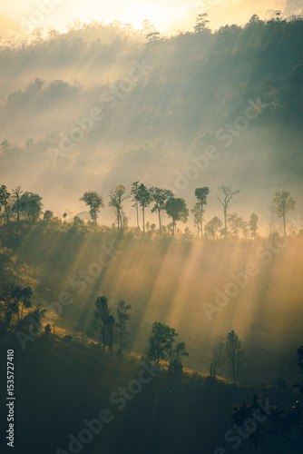 High angle view of mountain with fluffy fog in the morning. The sun rises shines through the trees, creating a beam of light in warm tones. The idea for a nature background with copy space.