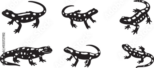 Spotted salamander silhouettes set of six, Amphibian illustration black white designs