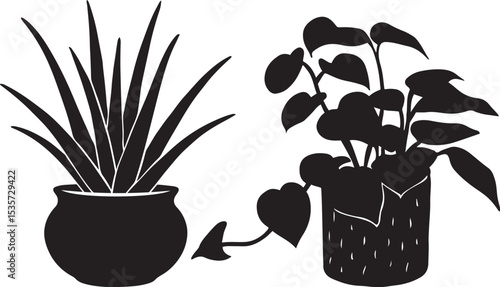 Potted houseplants silhouette simple artwork, Indoor greenery black and white graphics