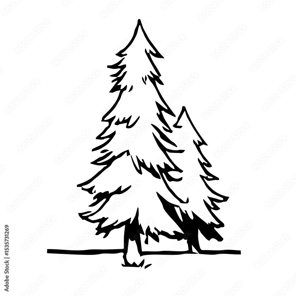 Obraz premium Contour spruce, linear silhouette of spruce on white background. Vector Black White Sketch