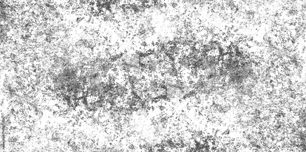 Abstract black and white grunge style texture, Concrete wall with cracks and scratches which can be used as a background, Texture of dust particle and dust grain on white background. Abstract black and white grunge style texture, Concrete wall with cracks and scratches which can be used as a background, Texture of dust particle and dust grain on white background.