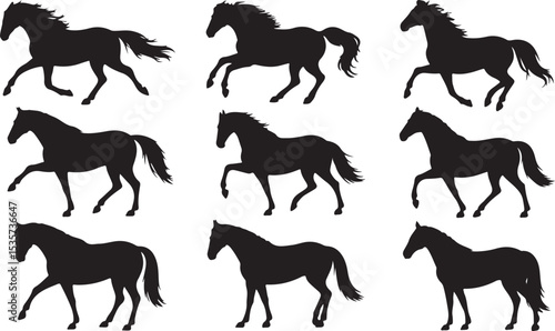 horse silhouette collection various running and standing poses equestrian animal design