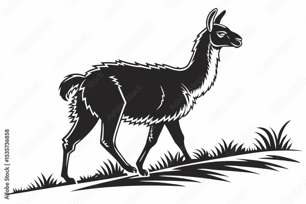 Fototapeta premium llama sihouette black vector
