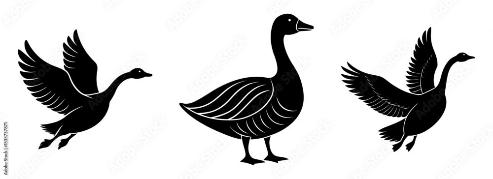 Fototapeta premium Silhouette set of elegant goose waterfowl avian species vector artwork