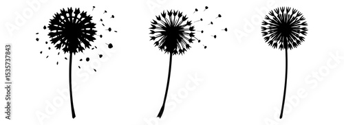 Silhouette set of three dandelions blowing in the wind vector art