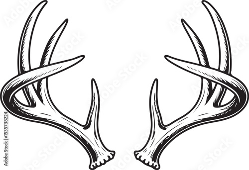 antler deer horn hunting trophy wild animal head black silhouette vector isolated illustration