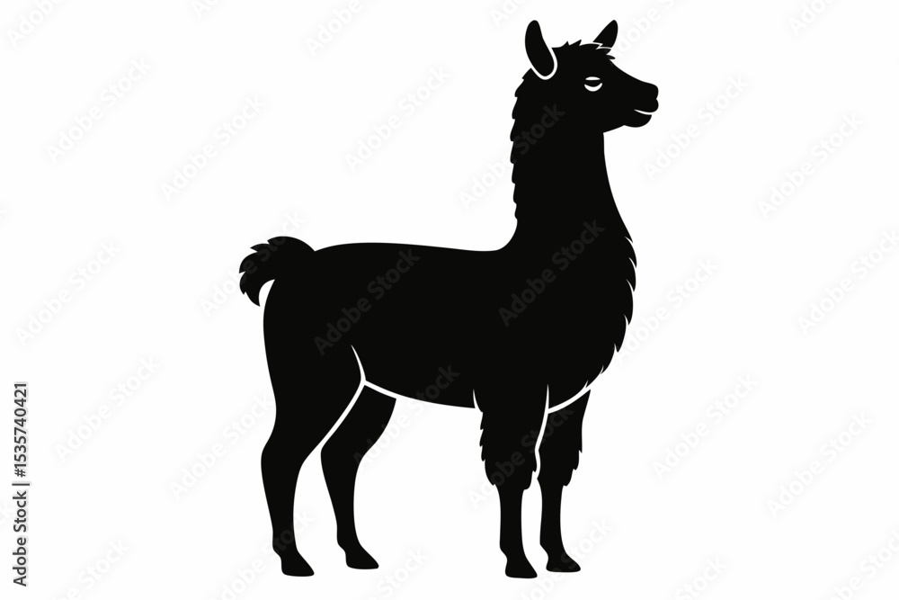 Fototapeta premium alpaca sihouette black vector