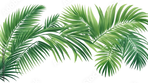Green Palm Branch Isolated And White Background With Gradient Mesh, Vector Illustration
