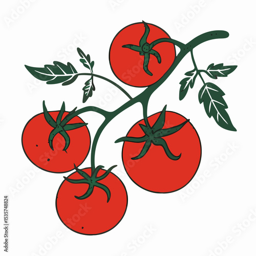 Fresh Red Tomatoes on the Vine Illustration