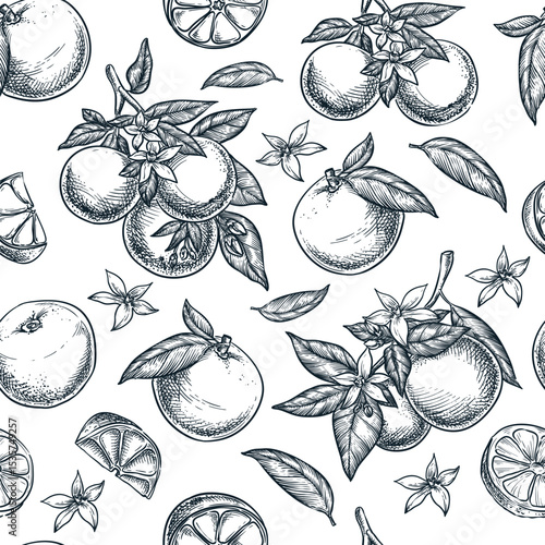 Oranges seamless pattern. Hand drawn sketch vector illustration. Food products background