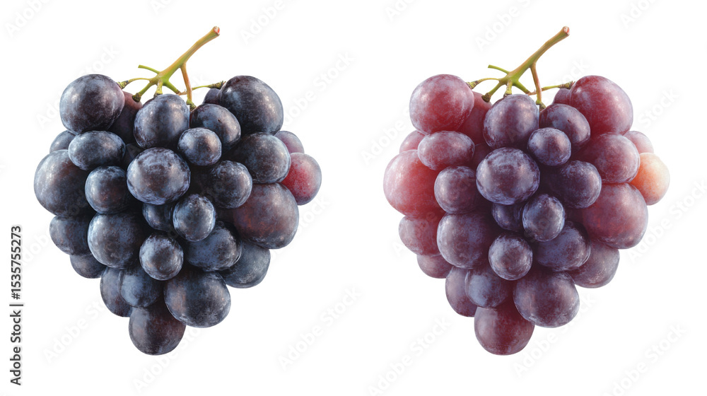 Fototapeta premium Set Collection of Two Different Wine Grapes on White Background – Fresh Grape Varieties for Vineyard, Beverage Design, and Culinary Concepts