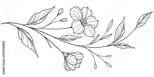flower and leaves drawing. Vector hand drawn engraved floral card. Botanical, branch and flower Black ink sketch. Great for tattoo, invitations, greeting cards, decor
