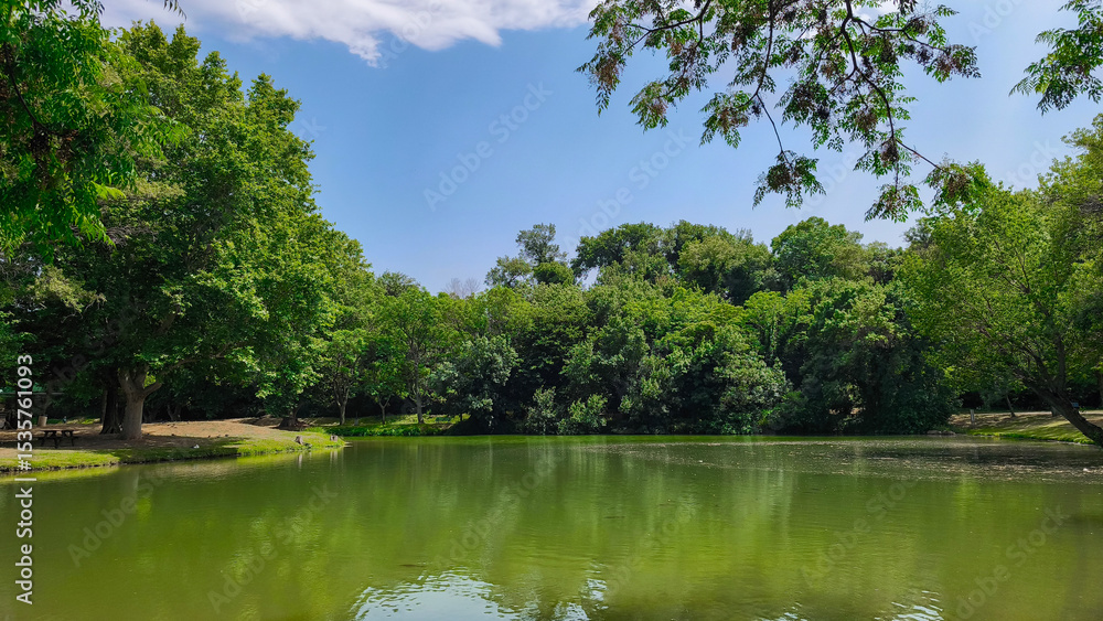 Fototapeta premium Tranquility by the water: a picturesque view of a cozy lake away from people, relaxation