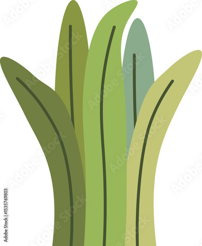 Diverse Green Foliage Elements