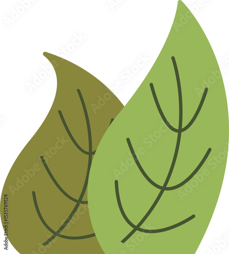 Diverse Green Foliage Elements