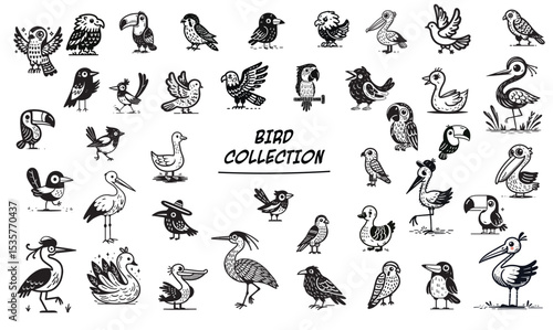 Huge collection of black line doodle birds, set of the birds hand drawn style