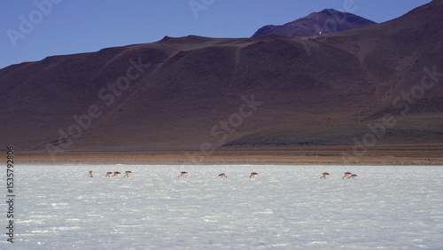 Colorful Bolivian lagoon surrounded by dramatic mountains, salt flats, flamingos, and off-road explorers in the remote altiplano