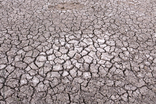 decrease in water levels and large-scale cracking of the soil as a result of drought, soil cracking as a result of drought