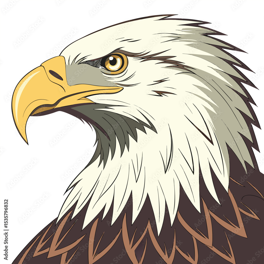 Obraz premium Detailed Bald Eagle Head Portrait Illustration