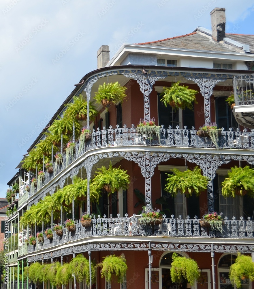 custom made wallpaper toronto digitalNew Orleans