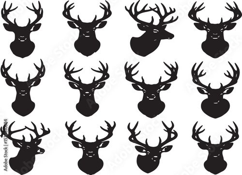 Detailed illustration of a deer s hand and hoof