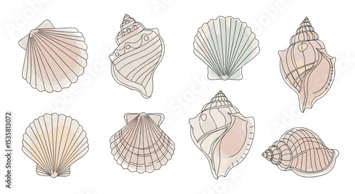 貝殻コレクション水彩塗りのワンライン落書き風白背景ミニマルベクターイラスト