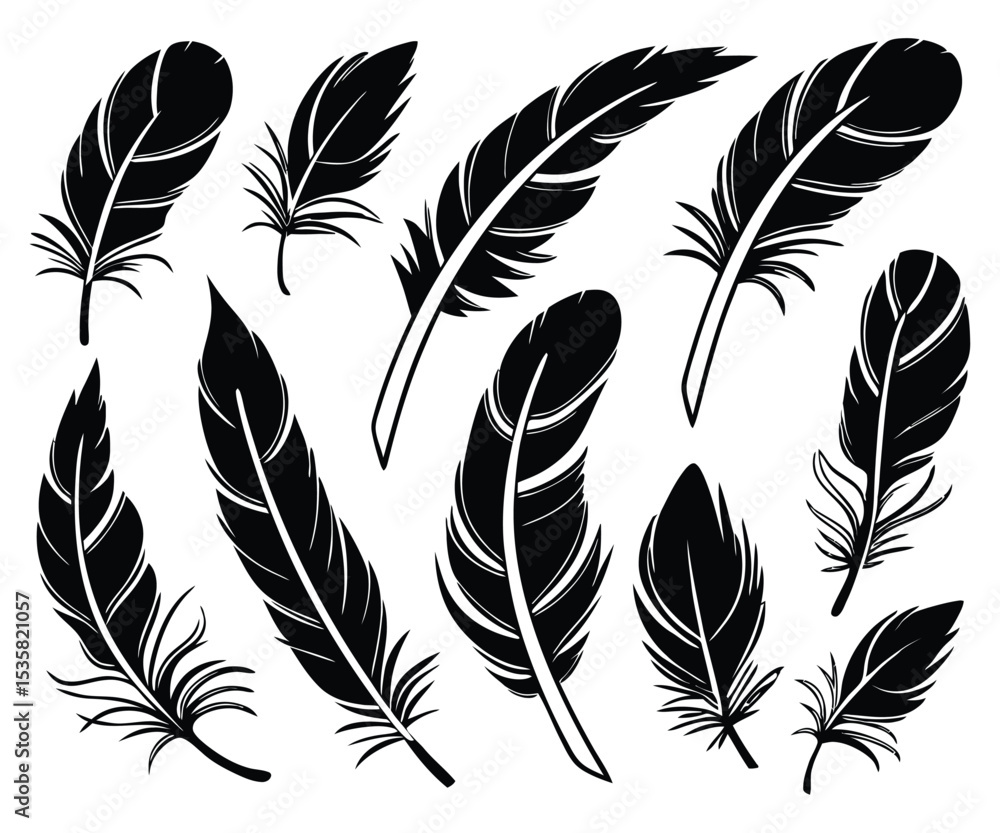Obraz premium Collection of black feather silhouettes.